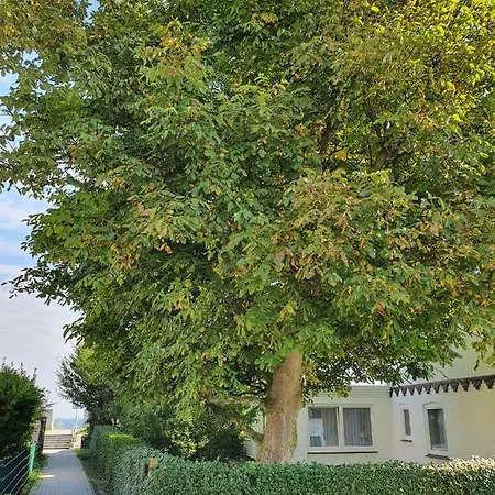 Apartment Hagelstein Iv 